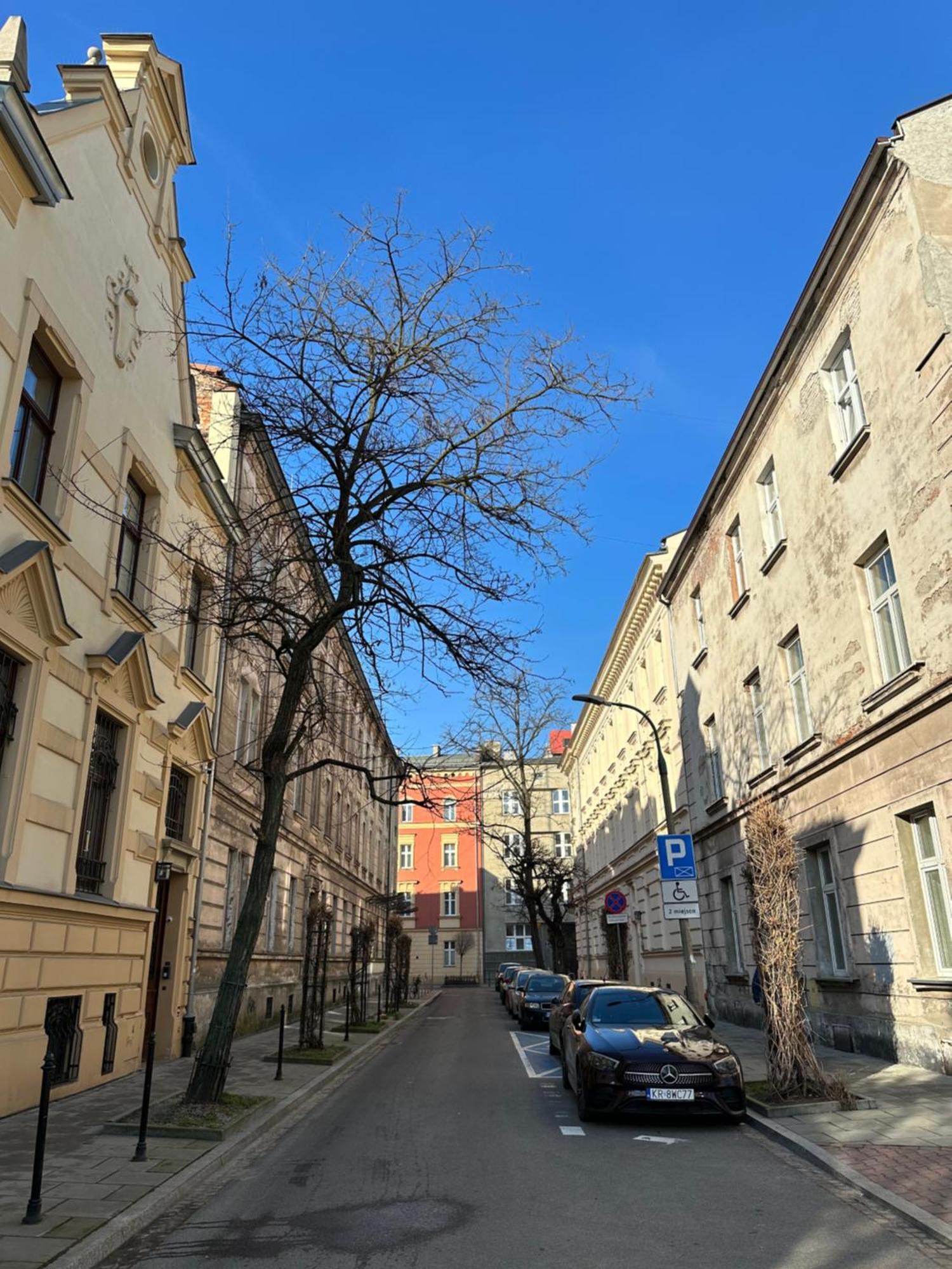 Perfect Place To Stay In Krakow City Center 28M2 W1 Esterno foto